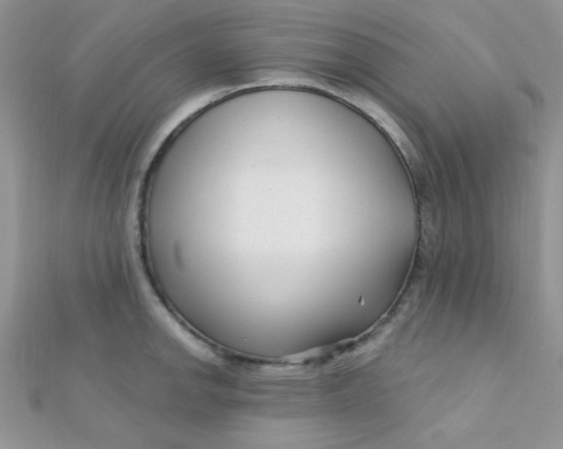 X0000112391142200909032008