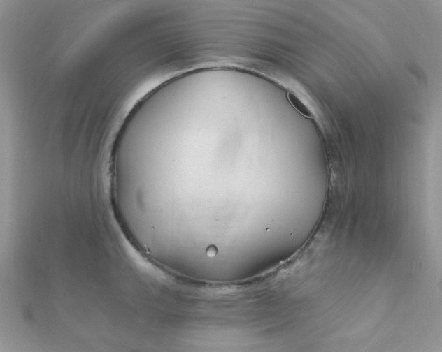 X0000112391143200909032008