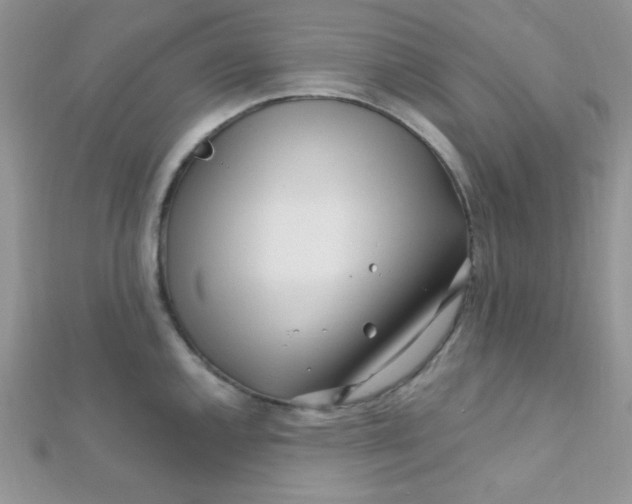 X0000112391144200909032008