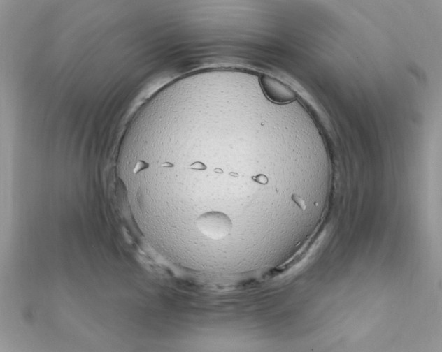 X0000112391145200909032008