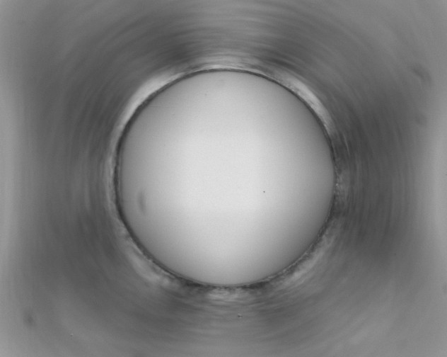 X0000112391146200909032008