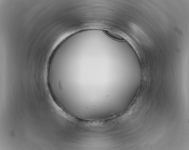 X0000112391147200909032008