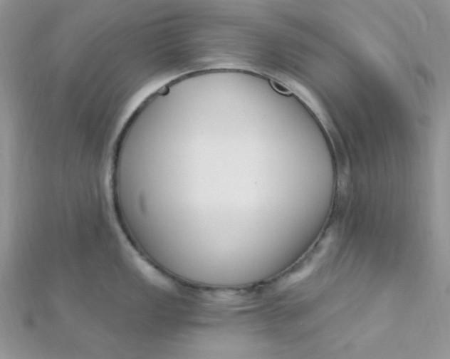 X0000112391149200909032008