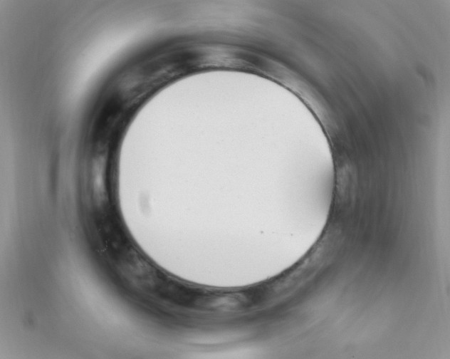 X0000112391150200909032008