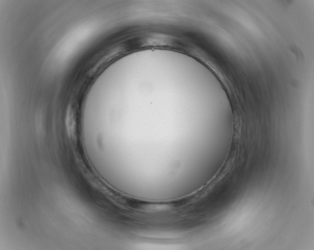 X0000112391151200909032008