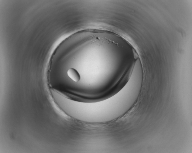 X0000112391152200909032008