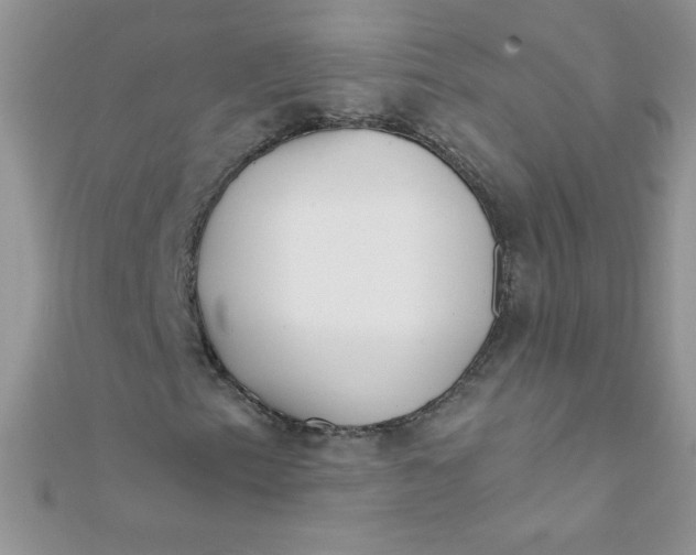 X0000112391153200909032008