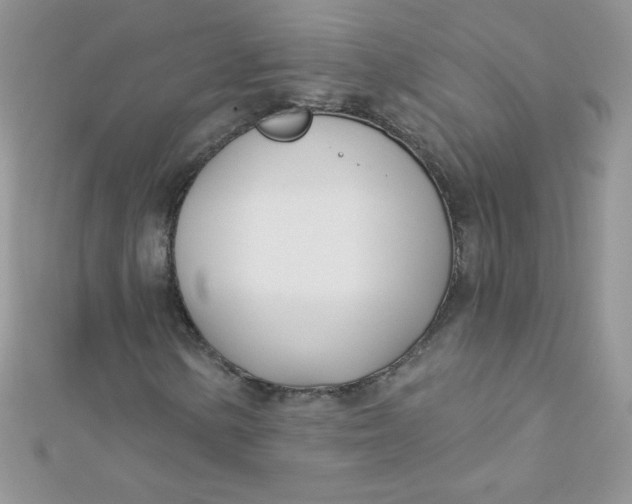 X0000112391154200909032008