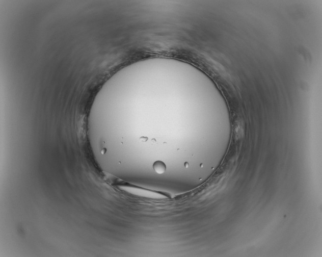 X0000112391156200909032008