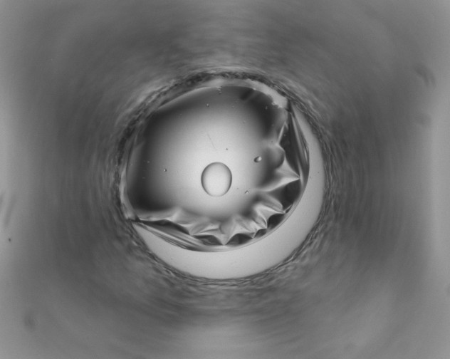 X0000112391157200909032008