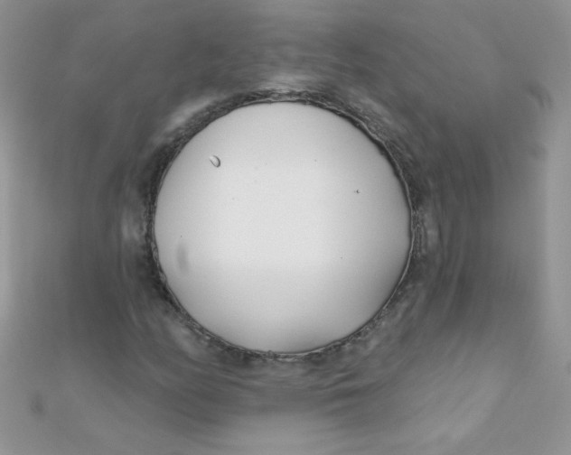 X0000112391158200909032008