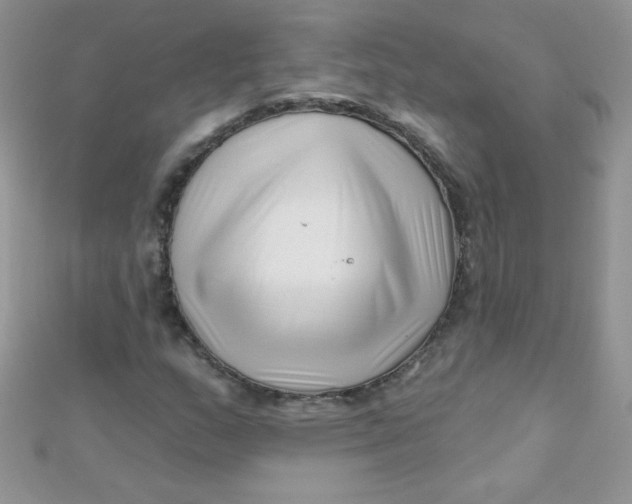 X0000112391159200909032008