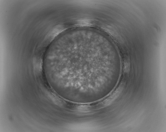 X0000112391161200909032008