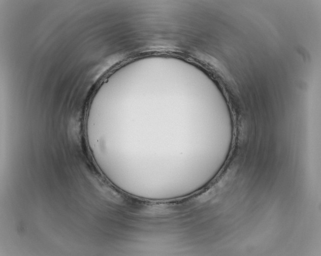 X0000112391162200909032008