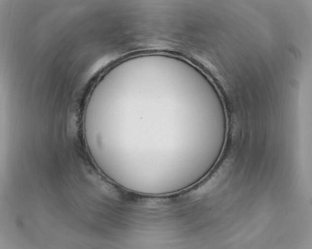 X0000112391163200909032008