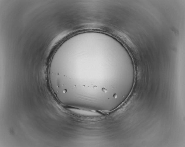 X0000112391164200909032008