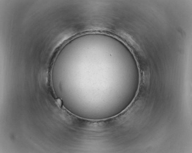 X0000112391165200909032008