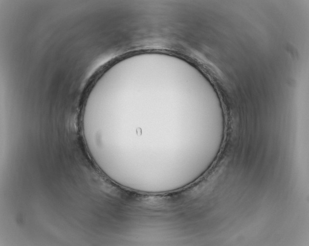 X0000112391166200909032008