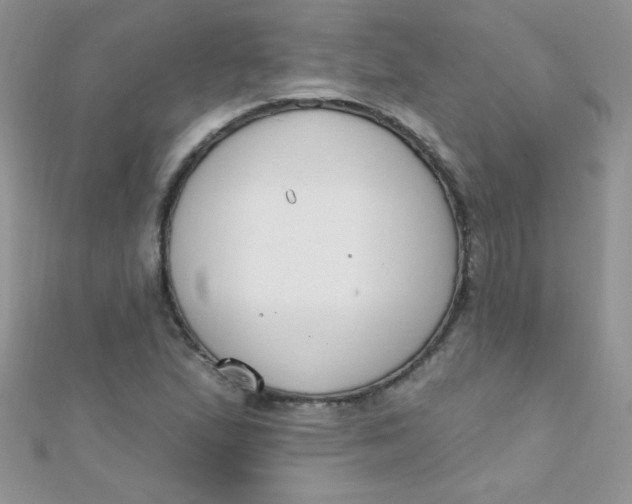 X0000112391167200909032008