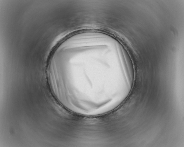 X0000112391168200909032008