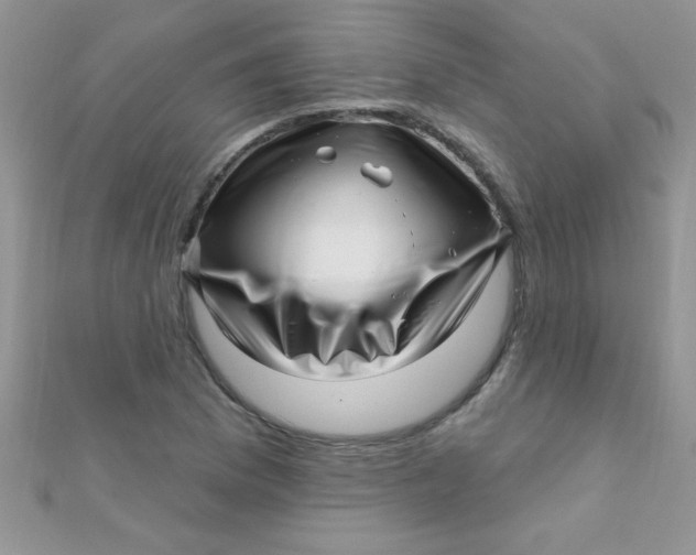 X0000112391169200909032008