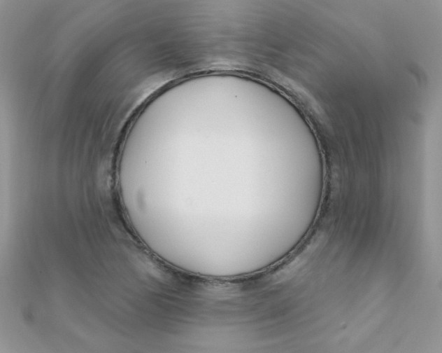 X0000112391170200909032008