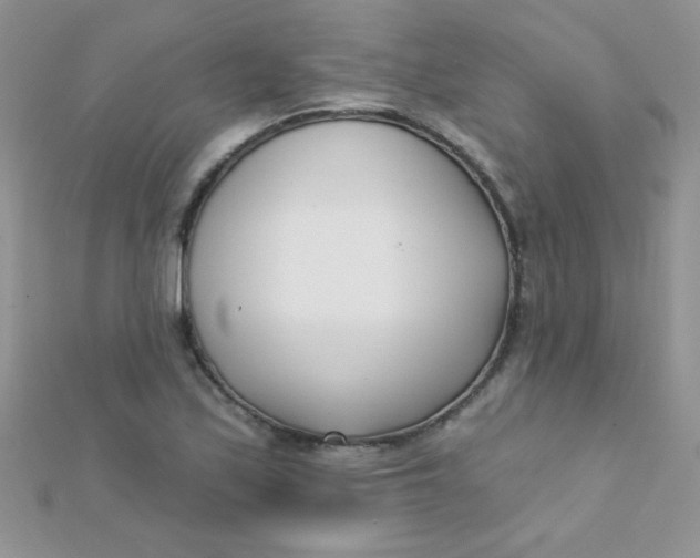 X0000112391171200909032008