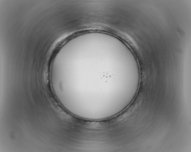 X0000112391172200909032008