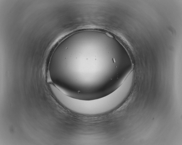 X0000112391173200909032008