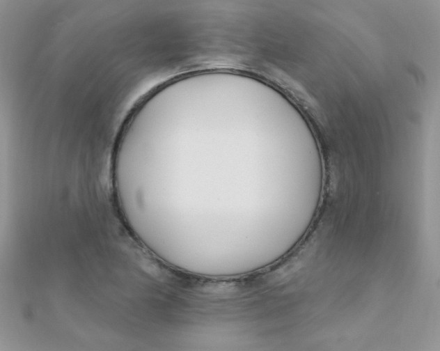 X0000112391174200909032008