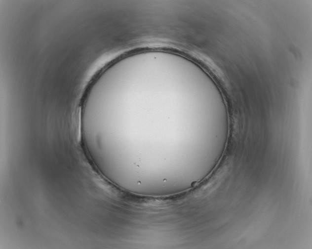 X0000112391175200909032008