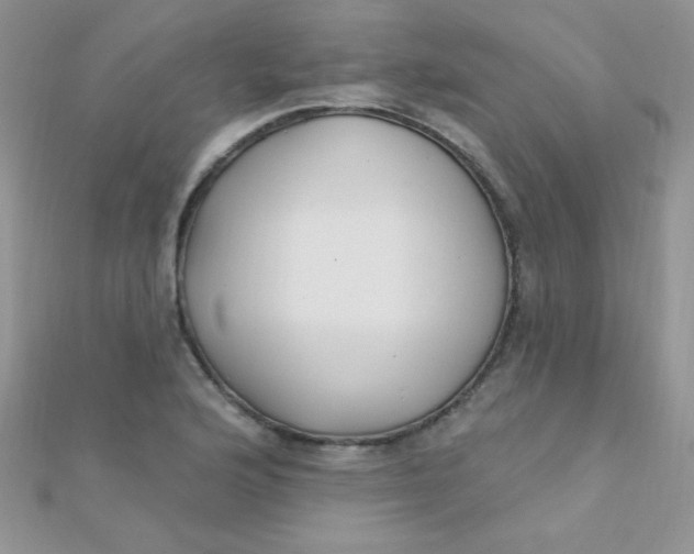 X0000112391176200909032008