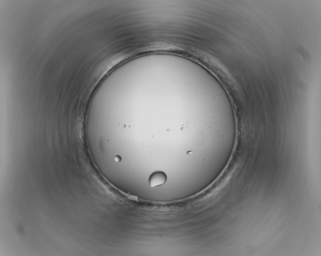 X0000112391177200909032008