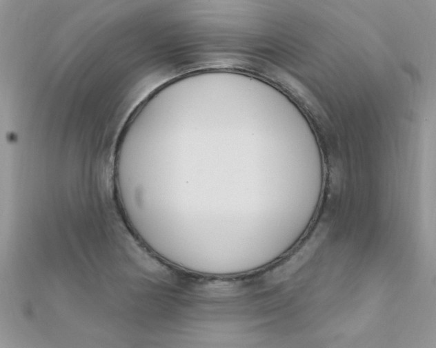 X0000112391178200909032008