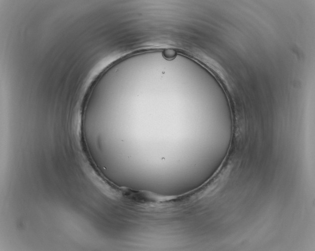 X0000112391179200909032007