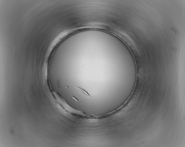 X0000112391180200909032007