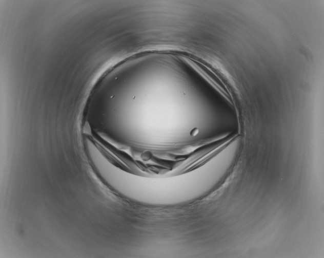 X0000112391181200909032007