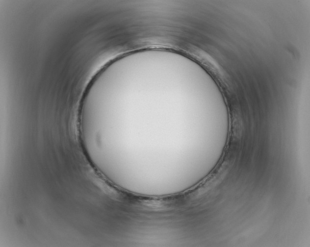 X0000112391182200909032007