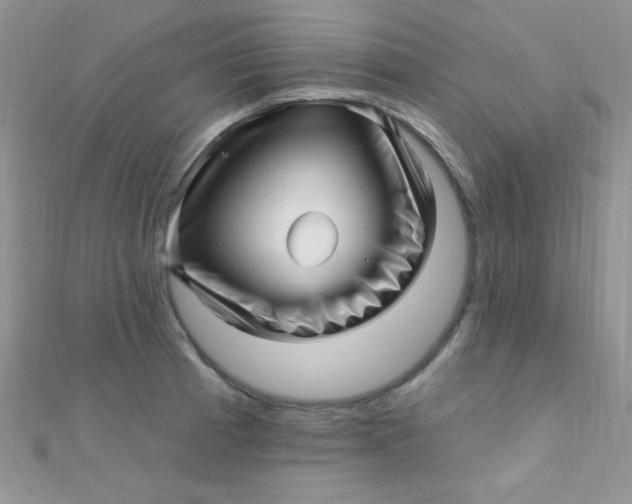 X0000112391185200909032007