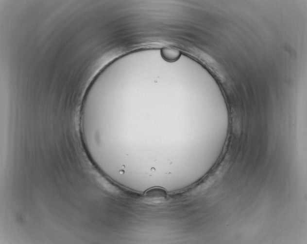 X0000112391186200909032007