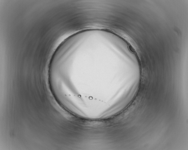 X0000112391187200909032007