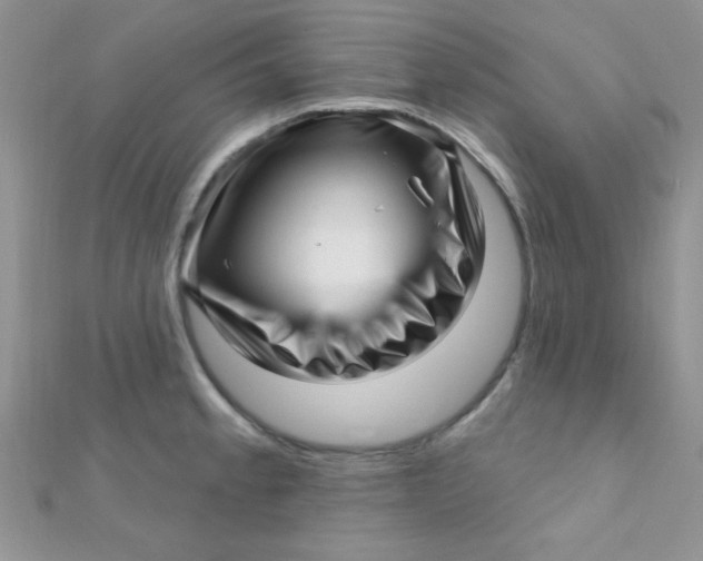 X0000112391189200909032007