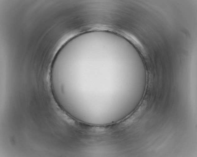 X0000112391190200909032007