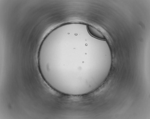 X0000112391191200909032007