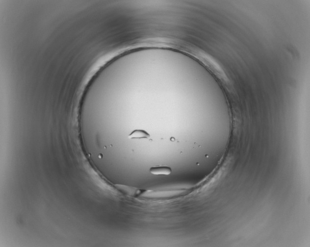 X0000112391192200909032007