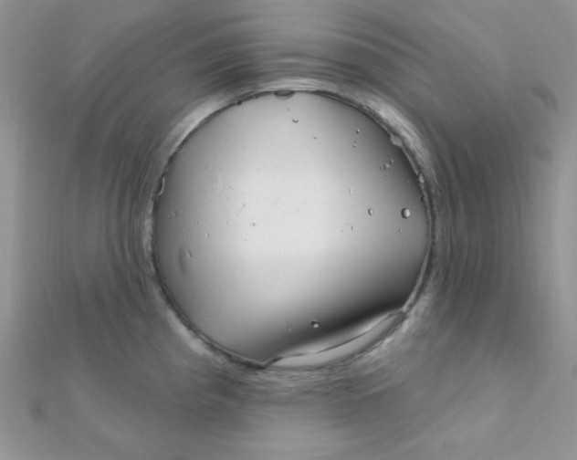 X0000112391193200909032007