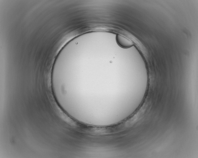 X0000112391194200909032007