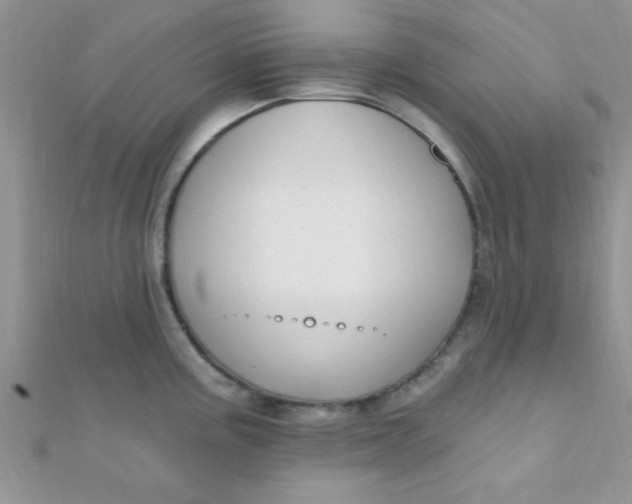 X0000112391195200909032007