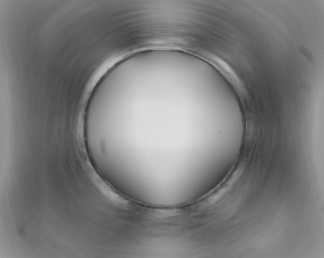 X0000112391196200909032007