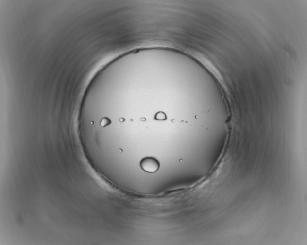 X0000112391197200909032007